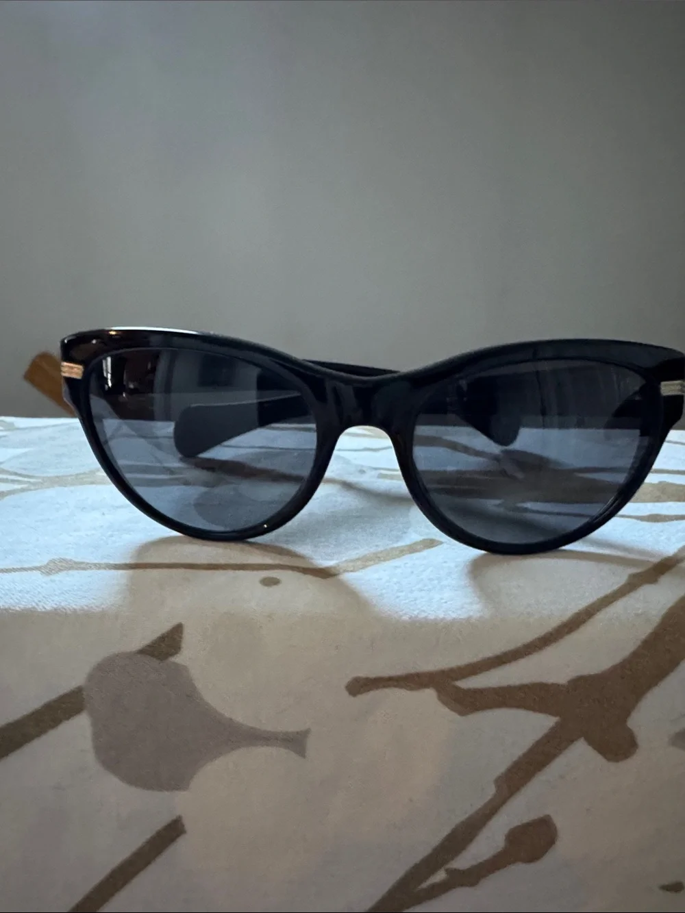 Oliver Peoples Black Sunglasses in Leather Case
